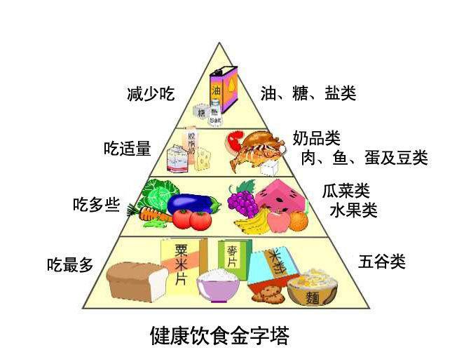 醫用黄瓜视频在线下载安装网站免费观看的原理與結構