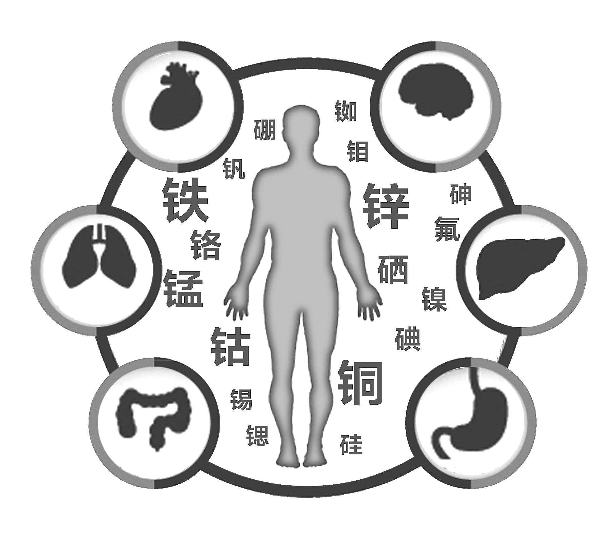 黄瓜视频在线下载安装网站免费观看檢查有必要嗎 黄瓜视频在线下载安装网站免费观看檢查有必要嗎